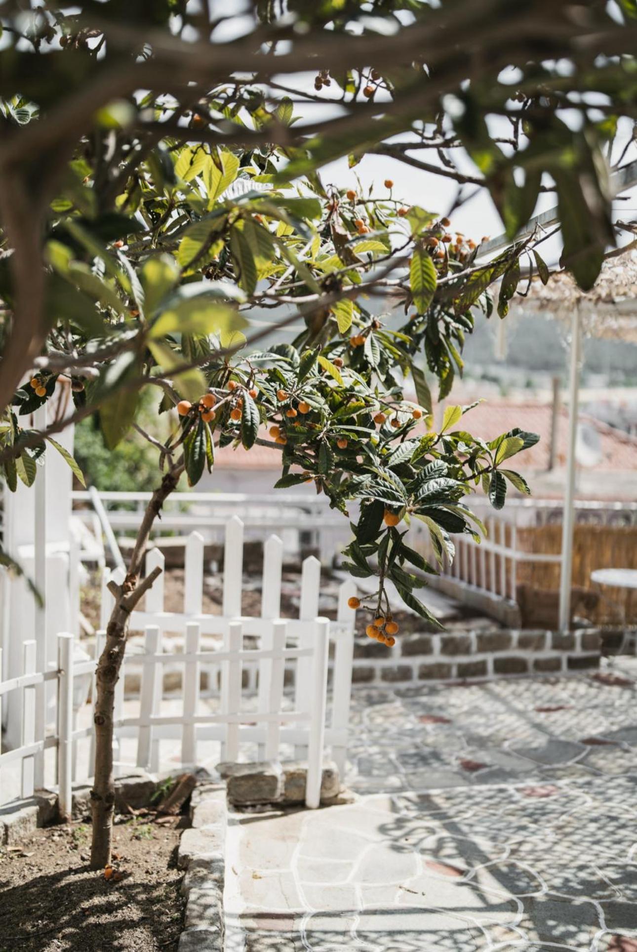 The Garden House Apartment Kavála Luaran gambar